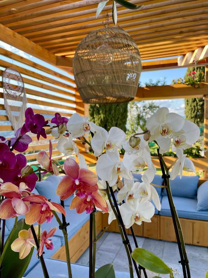 Escondida Bed & Breakfast Ница Екстериор снимка